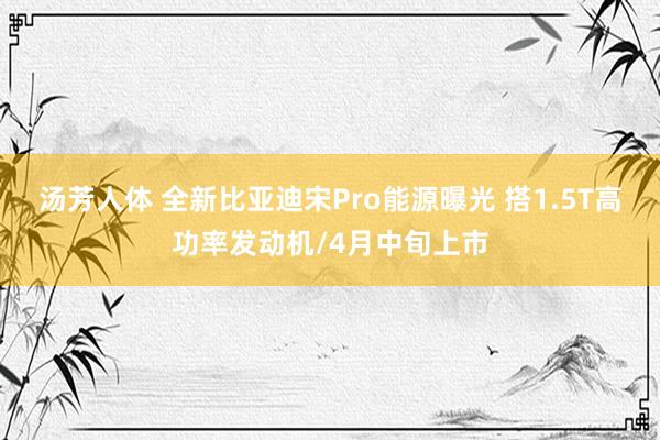 汤芳人体 全新比亚迪宋Pro能源曝光 搭1.5T高功率发动机/4月中旬上市