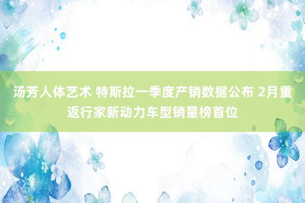汤芳人体艺术 特斯拉一季度产销数据公布 2月重返行家新动力车型销量榜首位