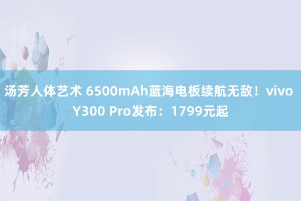 汤芳人体艺术 6500mAh蓝海电板续航无敌！vivo Y300 Pro发布：1799元起