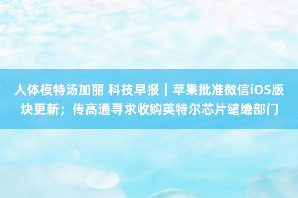 人体模特汤加丽 科技早报｜苹果批准微信iOS版块更新；传高通寻求收购英特尔芯片缱绻部门