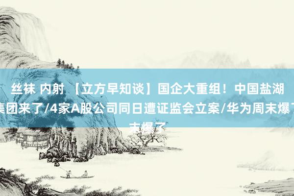丝袜 内射 【立方早知谈】国企大重组！中国盐湖集团来了/4家A股公司同日遭证监会立案/华为周末爆了