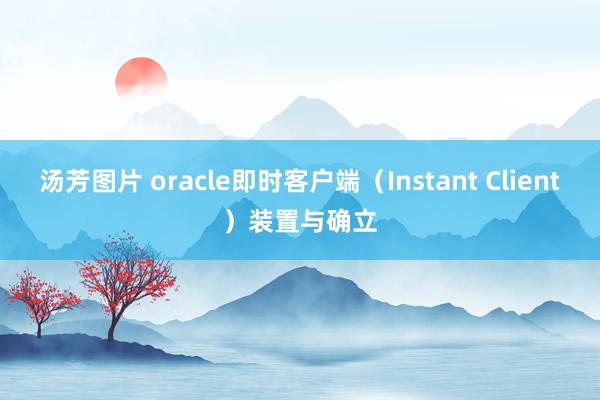 汤芳图片 oracle即时客户端（Instant Client）装置与确立