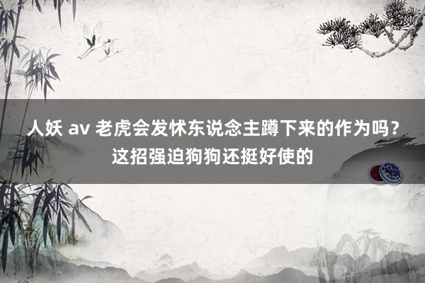 人妖 av 老虎会发怵东说念主蹲下来的作为吗？这招强迫狗狗还挺好使的