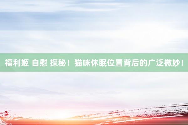 福利姬 自慰 探秘！猫咪休眠位置背后的广泛微妙！