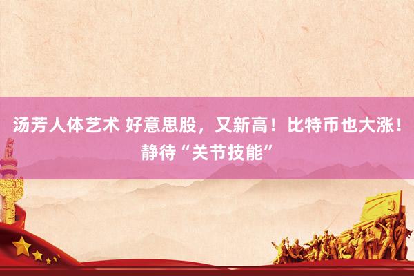 汤芳人体艺术 好意思股，又新高！比特币也大涨！静待“关节技能”