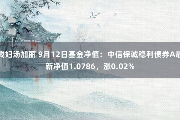 贱妇汤加丽 9月12日基金净值：中信保诚稳利债券A最新净值1.0786，涨0.02%
