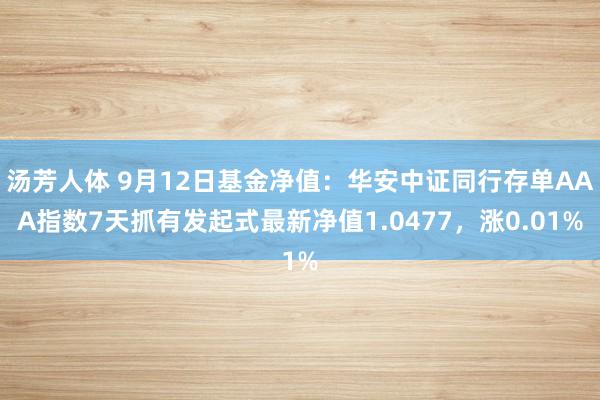 汤芳人体 9月12日基金净值：华安中证同行存单AAA指数7天抓有发起式最新净值1.0477，涨0.01%