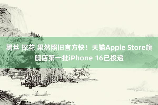 黑丝 探花 果然照旧官方快！天猫Apple Store旗舰店第一批iPhone 16已投递