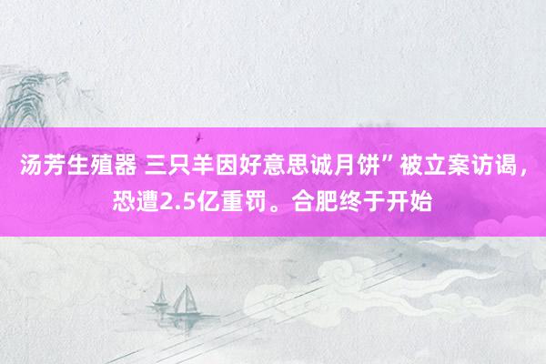 汤芳生殖器 三只羊因好意思诚月饼”被立案访谒，恐遭2.5亿重罚。合肥终于开始