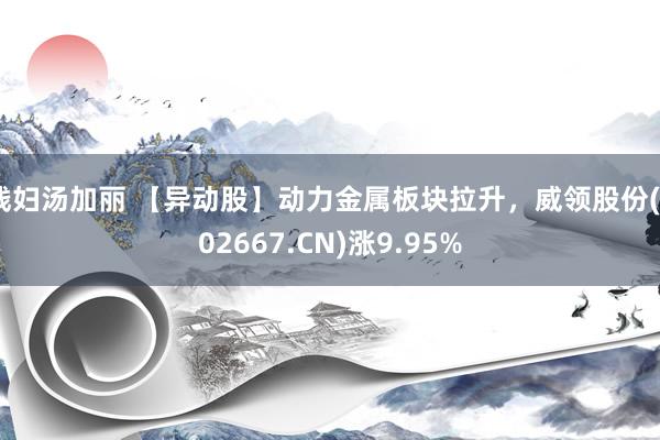 贱妇汤加丽 【异动股】动力金属板块拉升，威领股份(002667.CN)涨9.95%