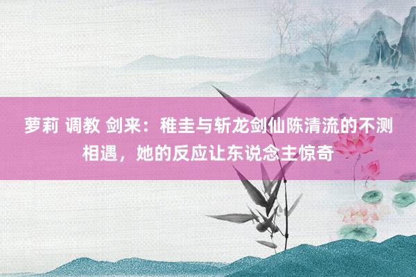 萝莉 调教 剑来：稚圭与斩龙剑仙陈清流的不测相遇，她的反应让东说念主惊奇