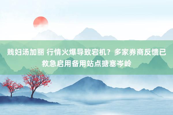 贱妇汤加丽 行情火爆导致宕机？多家券商反馈已救急启用备用站点搪塞岑岭