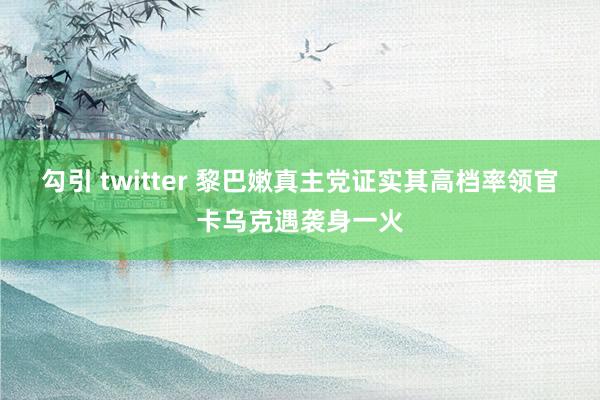 勾引 twitter 黎巴嫩真主党证实其高档率领官卡乌克遇袭身一火