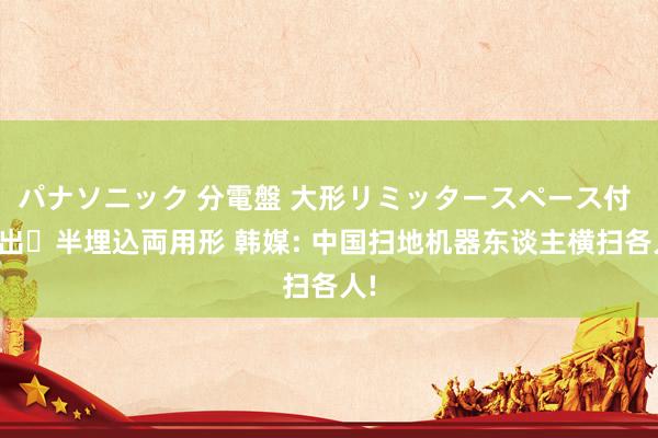 パナソニック 分電盤 大形リミッタースペース付 露出・半埋込両用形 韩媒: 中国扫地机器东谈主横扫各人!