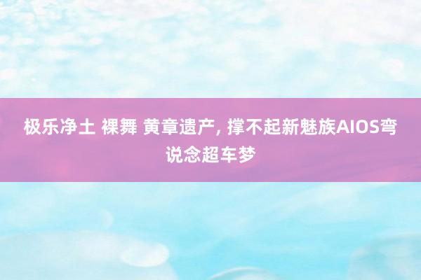 极乐净土 裸舞 黄章遗产， 撑不起新魅族AIOS弯说念超车梦