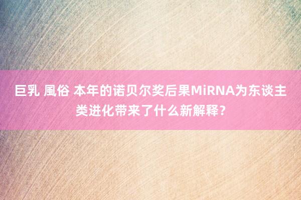 巨乳 風俗 本年的诺贝尔奖后果MiRNA为东谈主类进化带来了什么新解释？