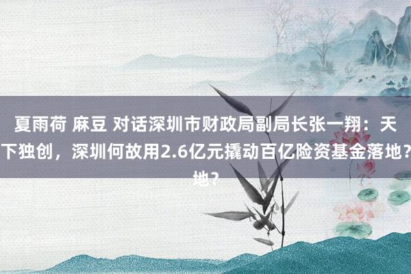夏雨荷 麻豆 对话深圳市财政局副局长张一翔：天下独创，深圳何故用2.6亿元撬动百亿险资基金落地？