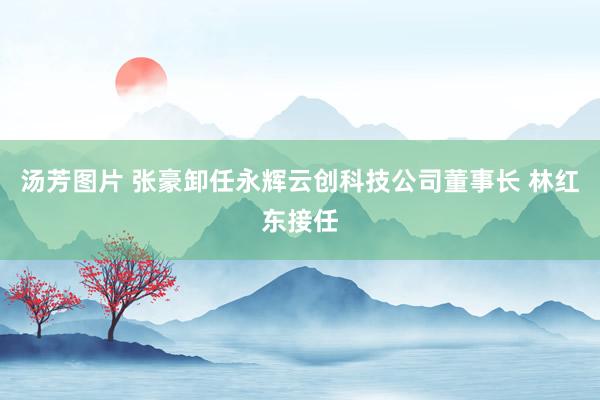 汤芳图片 张豪卸任永辉云创科技公司董事长 林红东接任