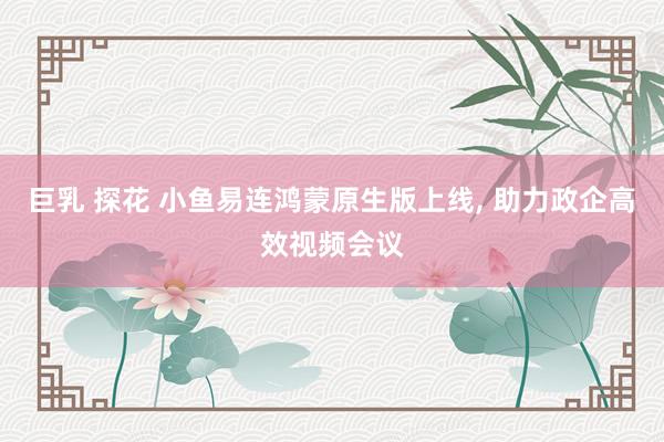 巨乳 探花 小鱼易连鸿蒙原生版上线， 助力政企高效视频会议