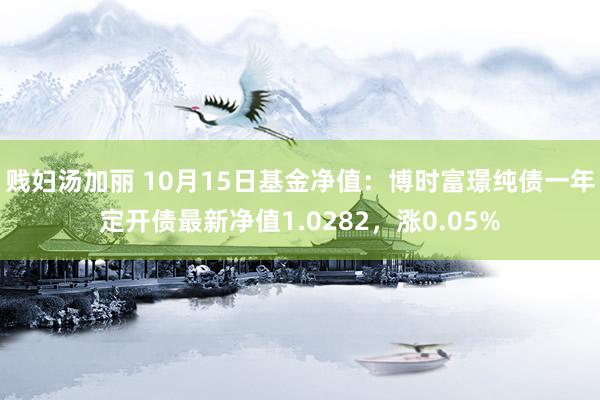 贱妇汤加丽 10月15日基金净值：博时富璟纯债一年定开债最新净值1.0282，涨0.05%