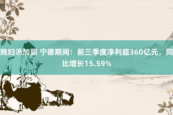 贱妇汤加丽 宁德期间：前三季度净利超360亿元，同比增长15.59%