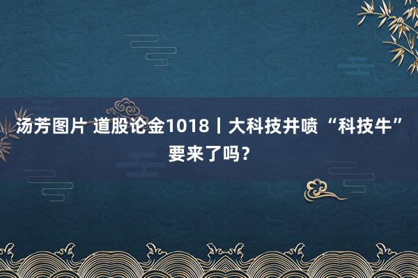 汤芳图片 道股论金1018丨大科技井喷 “科技牛”要来了吗?
