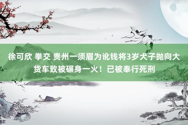 徐可欣 拳交 贵州一须眉为讹钱将3岁犬子抛向大货车致被碾身一火！已被奉行死刑