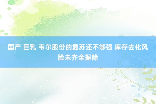 国产 巨乳 韦尔股份的复苏还不够强 库存去化风险未齐全摒除
