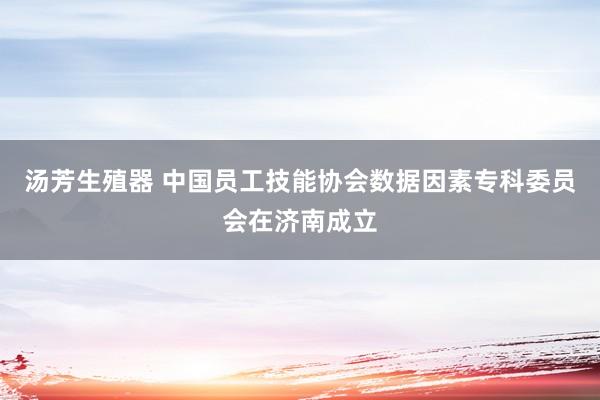 汤芳生殖器 中国员工技能协会数据因素专科委员会在济南成立