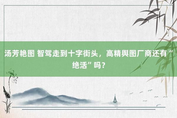汤芳艳图 智驾走到十字街头，高精舆图厂商还有“绝活”吗？