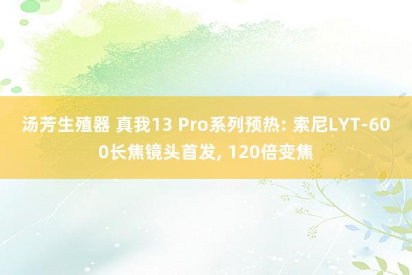 汤芳生殖器 真我13 Pro系列预热: 索尼LYT-600长焦镜头首发， 120倍变焦