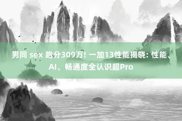 男同 sex 跑分309万! 一加13性能揭晓: 性能、AI、畅通度全认识超Pro