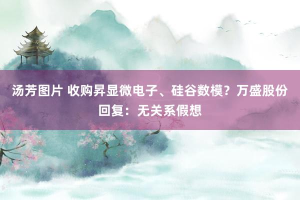 汤芳图片 收购昇显微电子、硅谷数模？万盛股份回复：无关系假想
