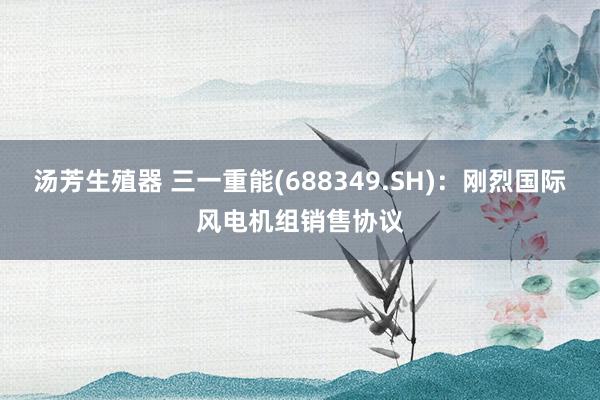 汤芳生殖器 三一重能(688349.SH)：刚烈国际风电机组销售协议