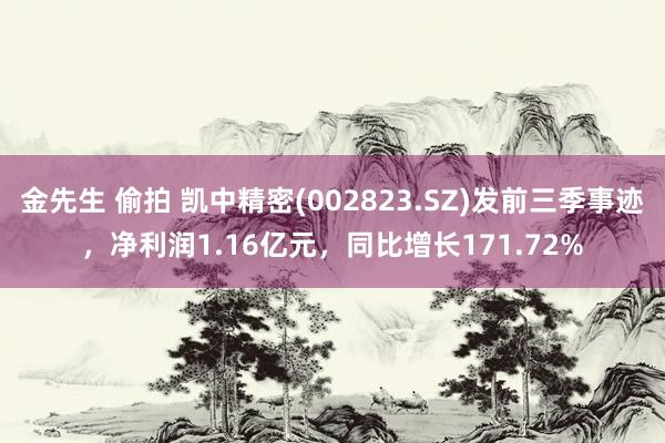 金先生 偷拍 凯中精密(002823.SZ)发前三季事迹，净利润1.16亿元，同比增长171.72%