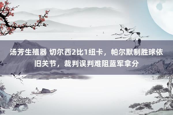汤芳生殖器 切尔西2比1纽卡，帕尔默制胜球依旧关节，裁判误判难阻蓝军拿分