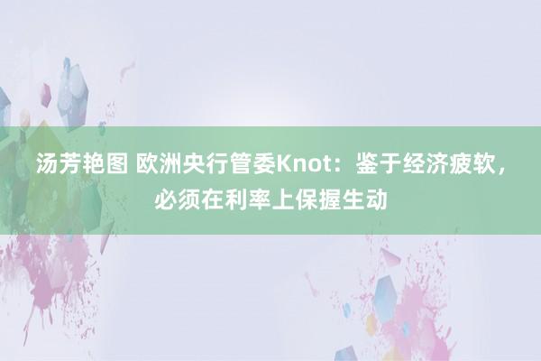 汤芳艳图 欧洲央行管委Knot：鉴于经济疲软，必须在利率上保握生动