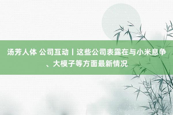 汤芳人体 公司互动丨这些公司表露在与小米息争、大模子等方面最新情况