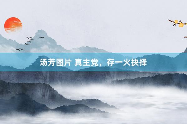 汤芳图片 真主党，存一火抉择