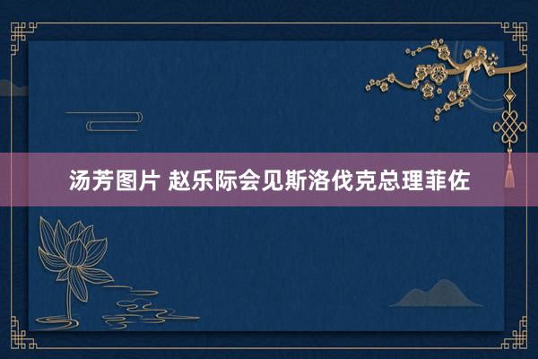 汤芳图片 赵乐际会见斯洛伐克总理菲佐