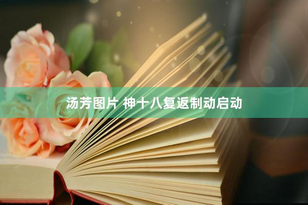 汤芳图片 神十八复返制动启动
