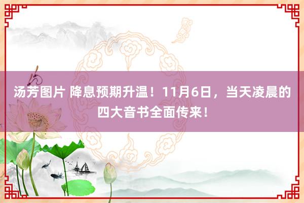 汤芳图片 降息预期升温！11月6日，当天凌晨的四大音书全面传来！