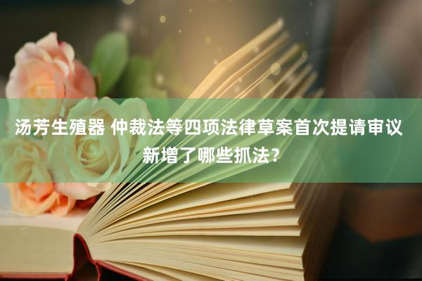 汤芳生殖器 仲裁法等四项法律草案首次提请审议 新增了哪些抓法？