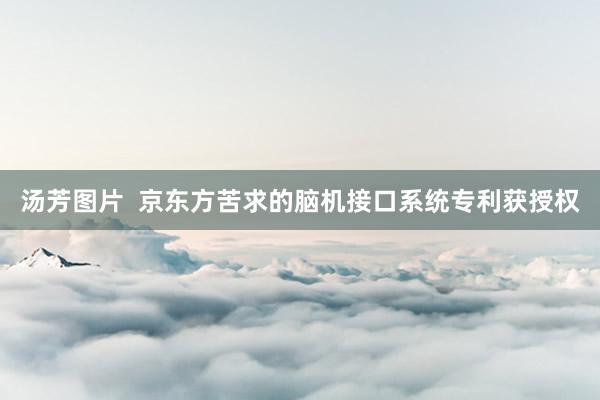 汤芳图片  京东方苦求的脑机接口系统专利获授权