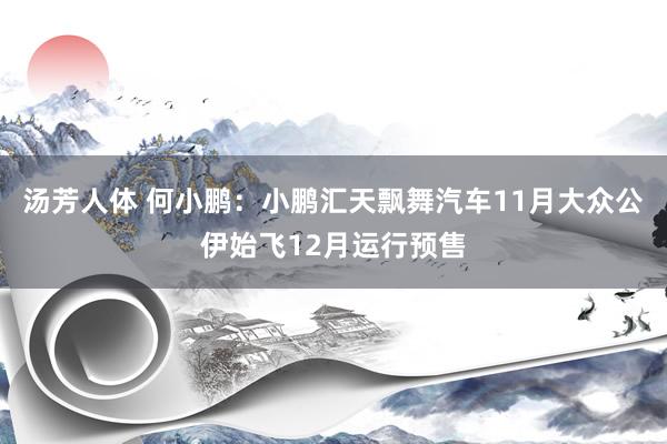 汤芳人体 何小鹏：小鹏汇天飘舞汽车11月大众公伊始飞12月运行预售