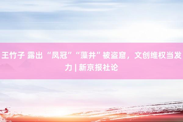 王竹子 露出 “凤冠”“藻井”被盗窟，文创维权当发力 | 新京报社论