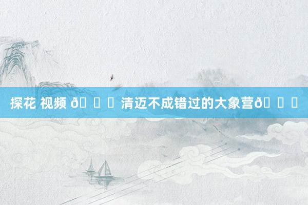 探花 视频 👍清迈不成错过的大象营🐘