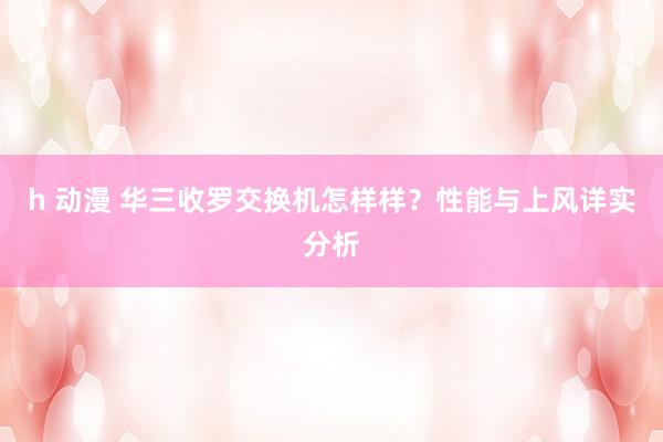 h 动漫 华三收罗交换机怎样样？性能与上风详实分析