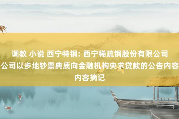 调教 小说 西宁特钢: 西宁稀疏钢股份有限公司对于公司以步地钞票典质向金融机构央求贷款的公告内容摘记