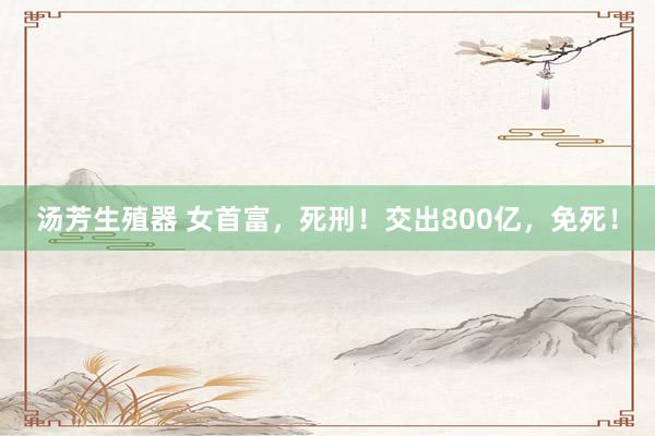 汤芳生殖器 女首富，死刑！交出800亿，免死！